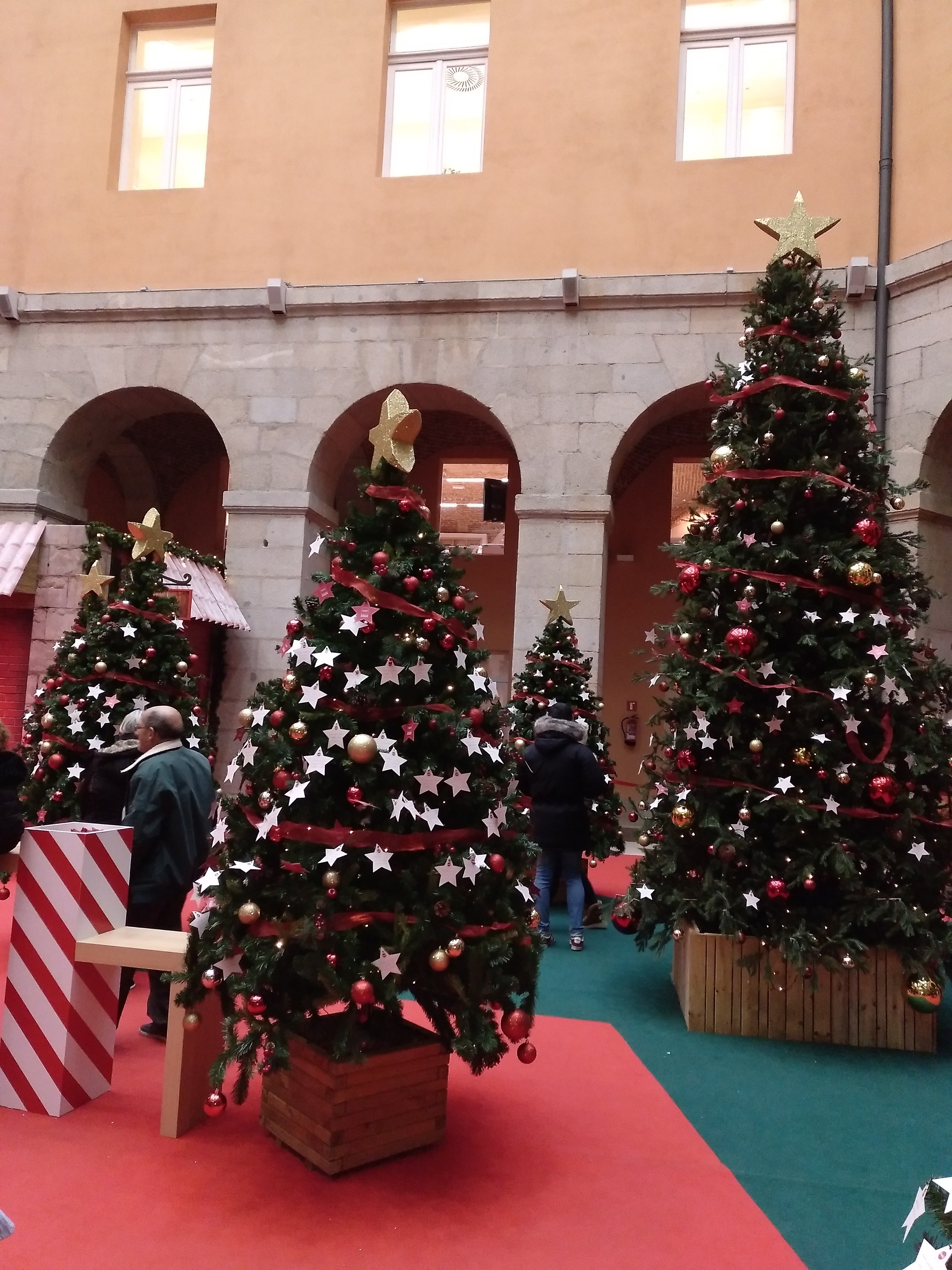 Arboles de navidad.jpg