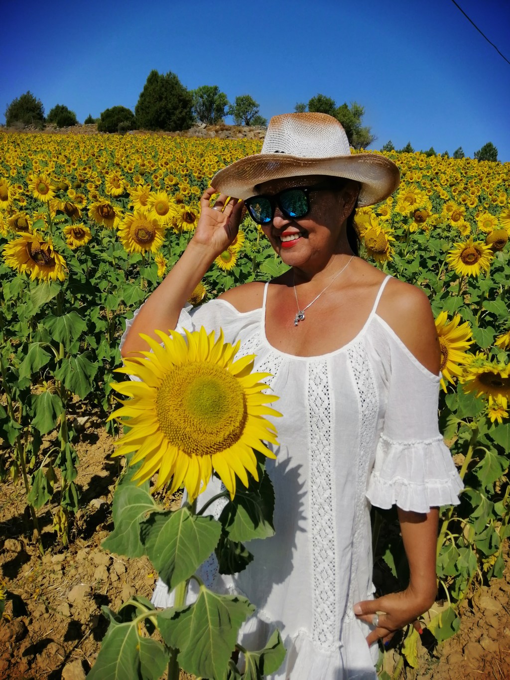 LOS BENEFICIOS DE LOS&nbsp;GIRASOLES