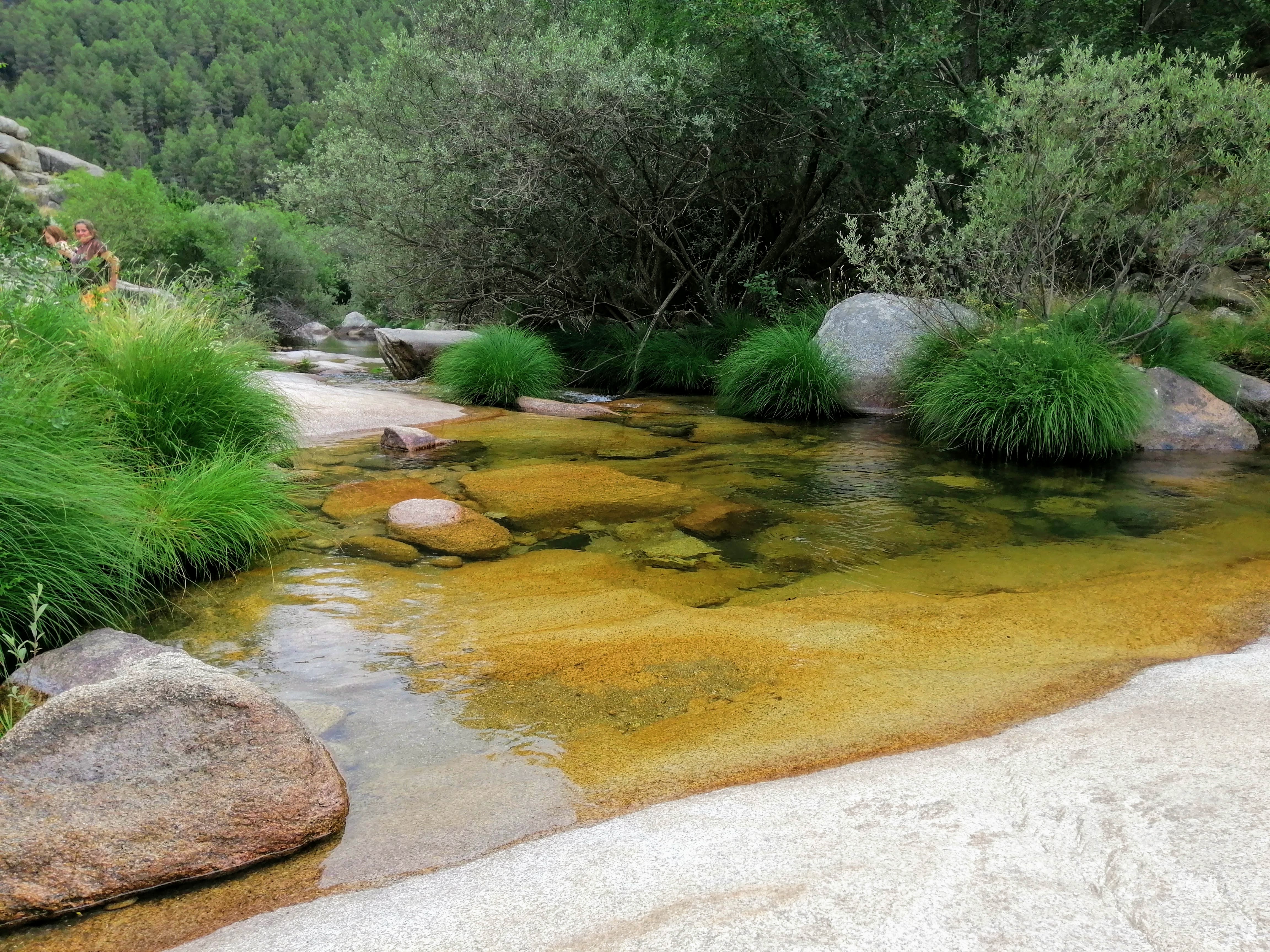 La pedriza sierra de madrid.
Río en calma
