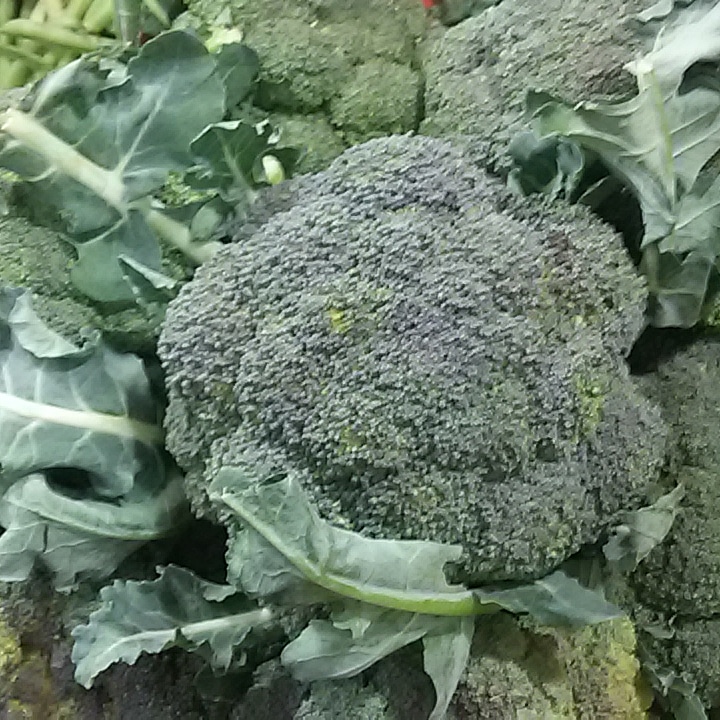 Recetas con Brócoli fáciles y ricas